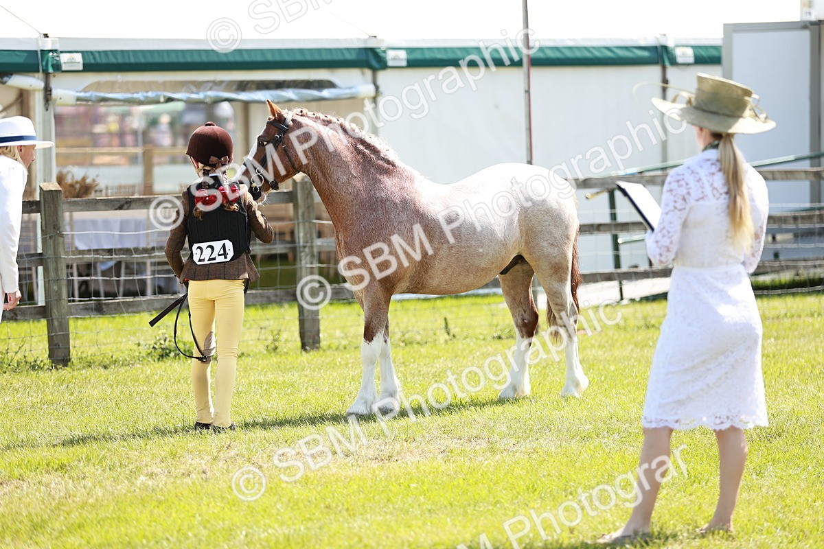 SBM_13527 - Class 108-109 - BSPS LIHS Open Gradle & Nursery Stakes