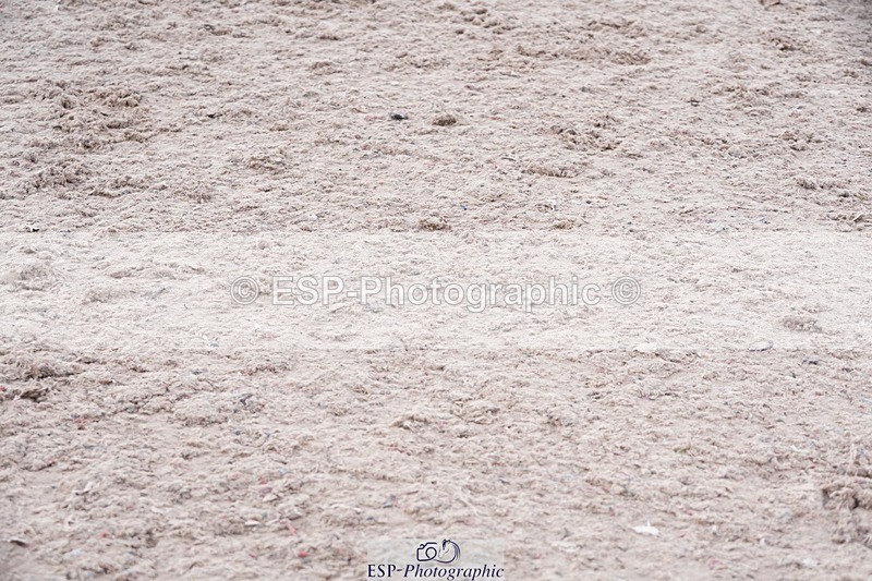 250525-102524-09108 - Cls 32 A&B Snr Brit Nov & 90cm Open