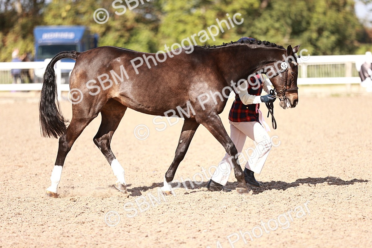 SBM_22856 - Class 705 - IH Combination 65+