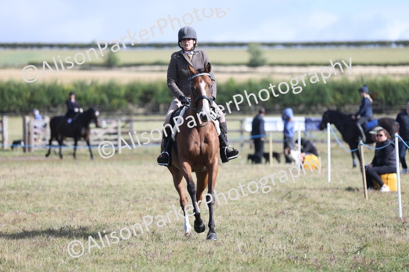 20250831-0925 - Class 14 - Ex Racehorse