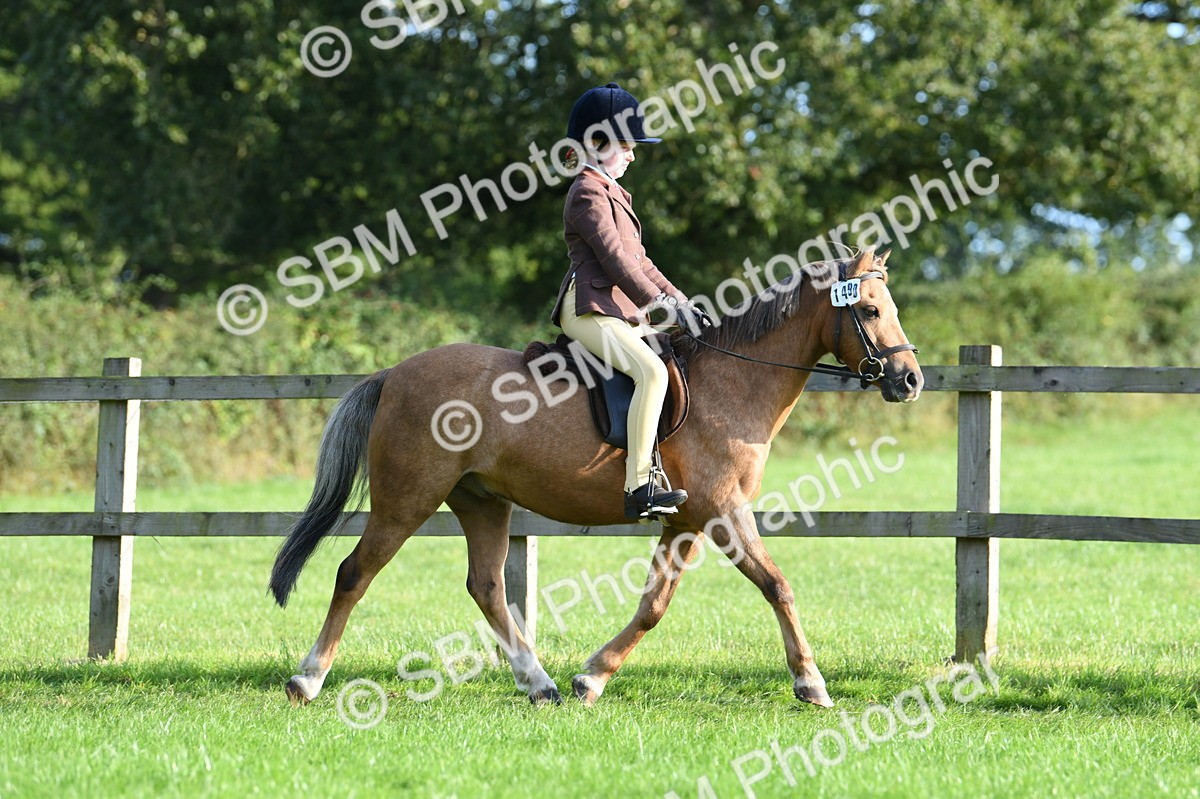 SBM_53982 - S23 - 1st Ridden Mountain & Moorland Pony
