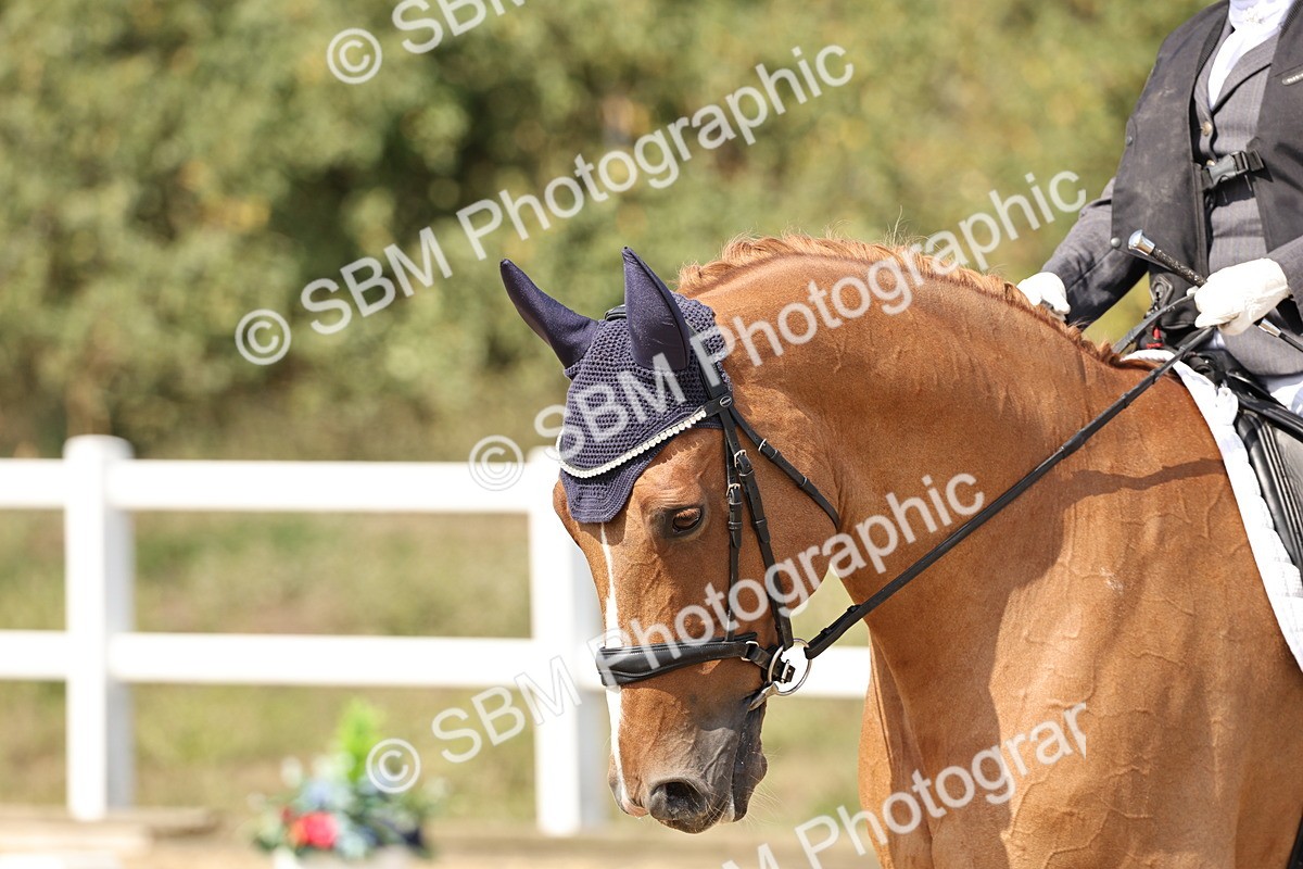 SBM_014660 - Class 5 - Elementary 4