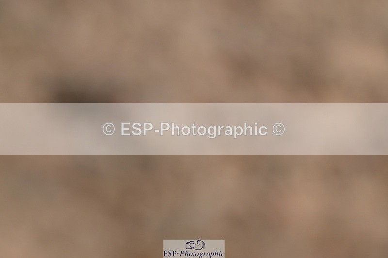 250621-150858-11725 - Cls 30 - Elementary 6