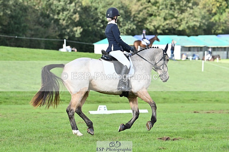 231020-141810-10874 - 664-TEMPLEMORE.WILD.ONE-Bella.Stevens-DR