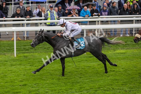 130724-Race 4-Alsakib-2081 - Race 4 3.45pm John Smith's Silver Cup Stakes