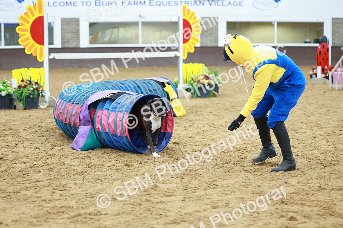 SBM_002241 - Class 3 - Horse & Hound (60cm)