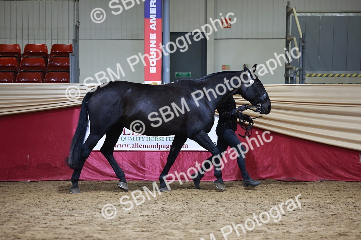 SBM_20314 - Class E - Best Turned Out Champ