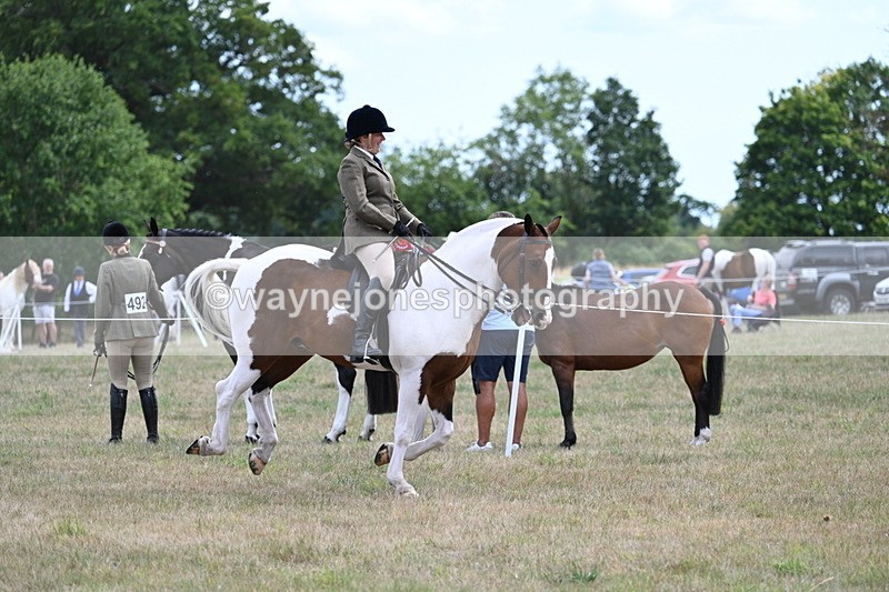 WJ7_5611 - Class 12 Ridden Cob