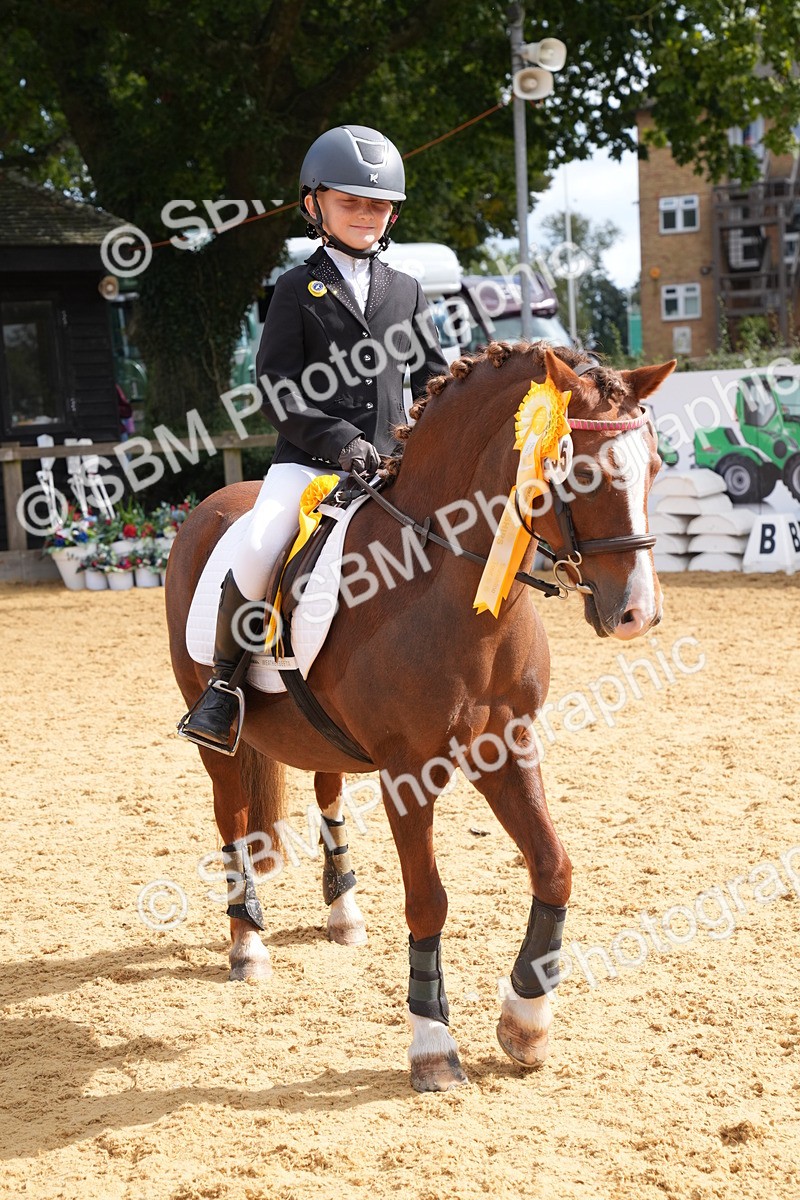 SBM_64558 - J2 - Mini Tour Junior Pony 30cm Championship