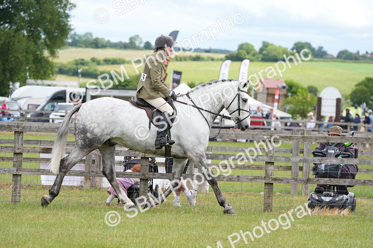 SBM_14874 - Class 100-102 - RIHS Working Hunter