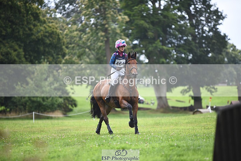 240804-131505-14182 - 464-Tichy_Sanders-SPARHANGER_VELVET