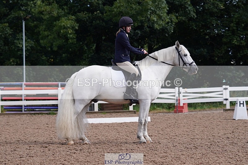 240809A-093454-00291 - Dressage Competition