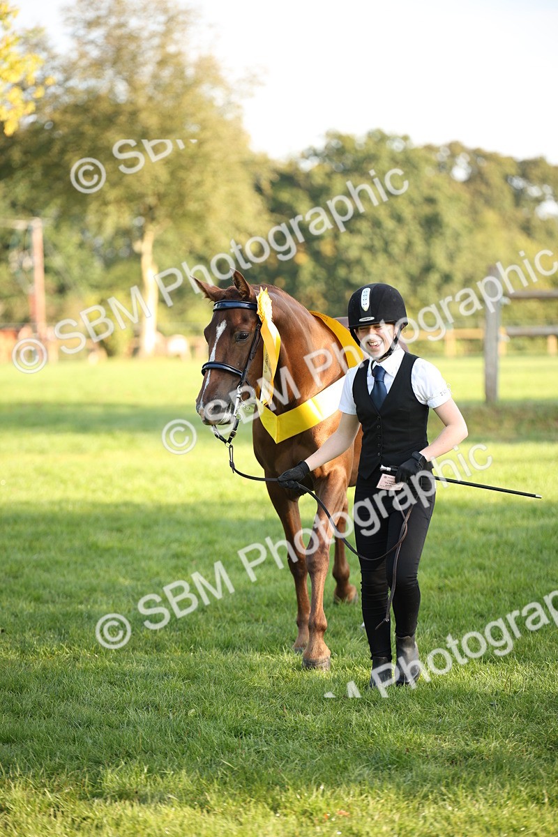 SBM_57595 - S50 - Foreign Breeds In Hand