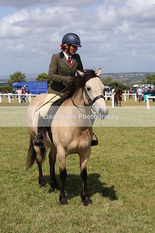 1X9A5561 - Class 38: NPS Novice Ridden Small and Large Breeds