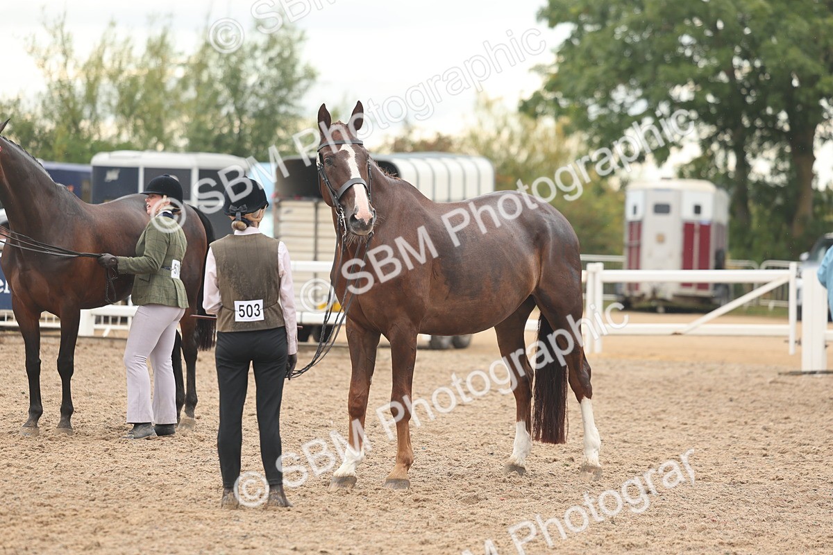 SBM_07767 - Class 27 - IH Competition Horse/Pony