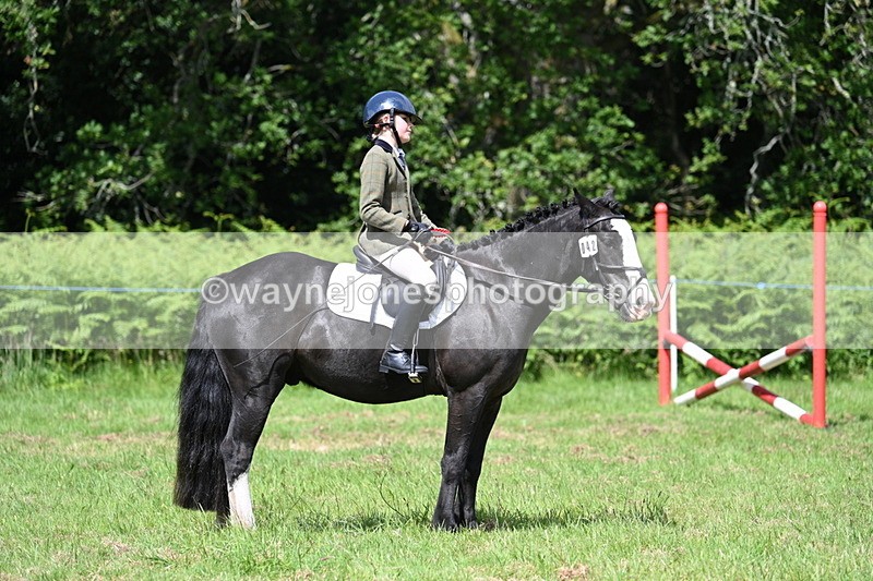 WJ7_1802 - Class 9 Pony Club Pony