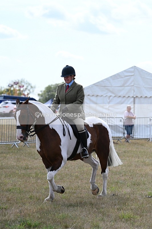 WJ7_7336 - Class 14 Ridden Coloured