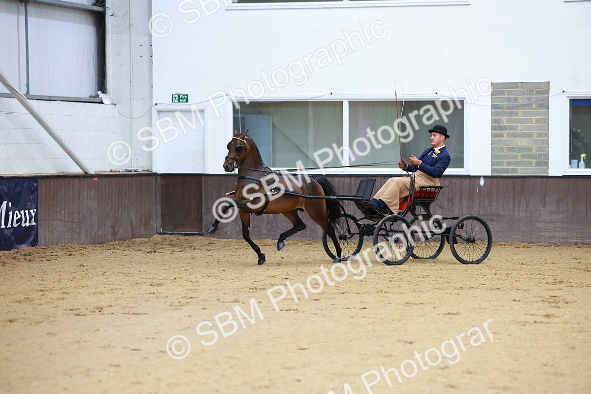 SBM_000655 - Class 9 - HHS Championship Intl Hackney Pony to a Showwagon