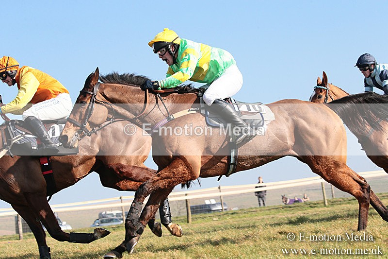 PtP 230219 309 - Vine & Craven Point-To-Point - Barbury 23/02/19