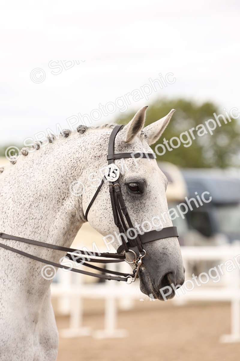 SBM_17271 - Class 213 - Ridden Hunter - Large