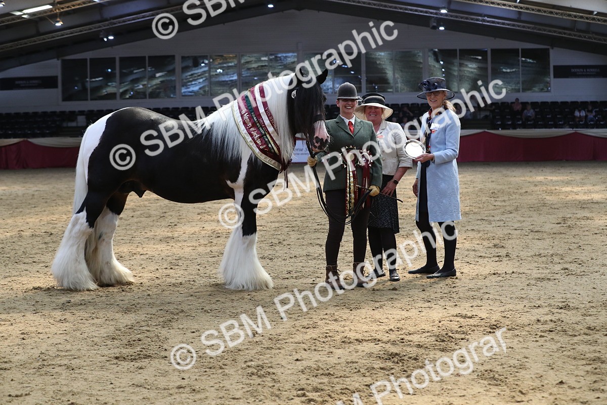 SBM_06584 - Regional IH Champ