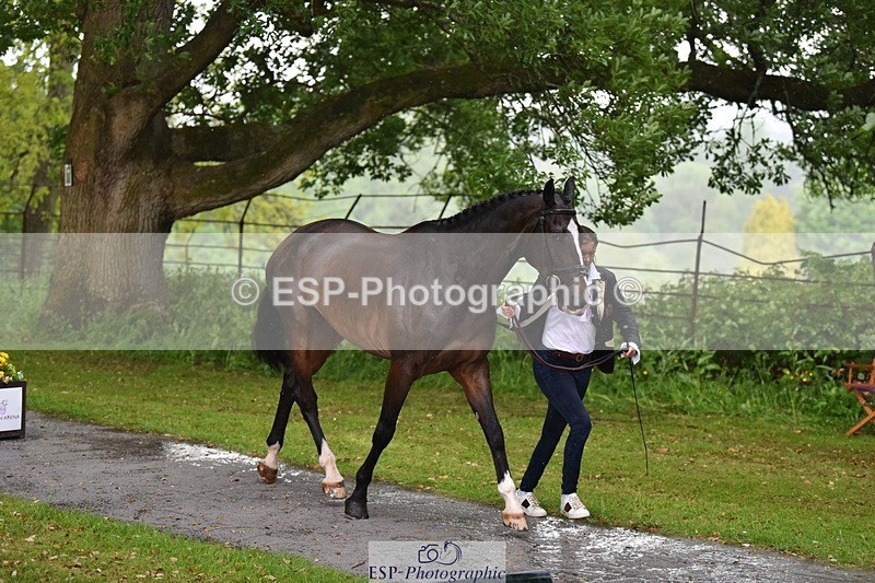 240522-151756-00235 - 375-DASSETT_ARTHALENT-Piggy_March