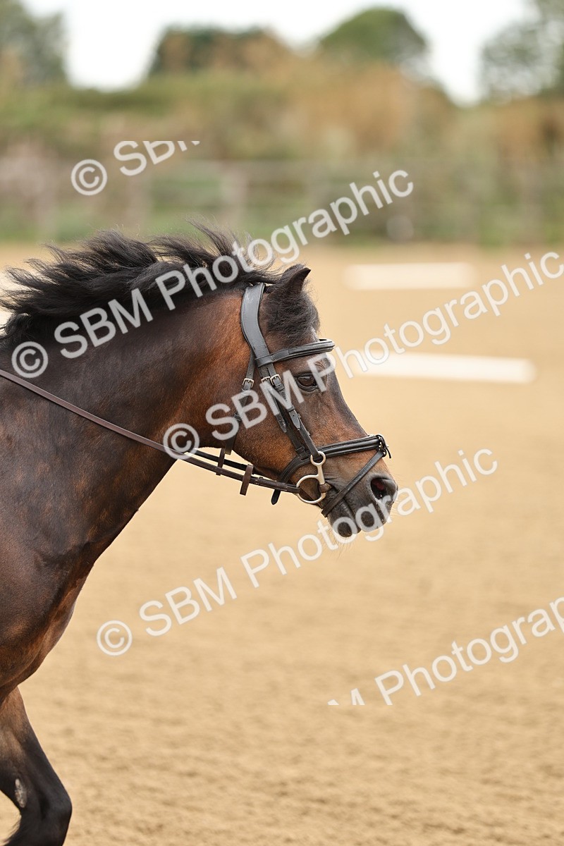 SBM_002070 - Intro 1-2