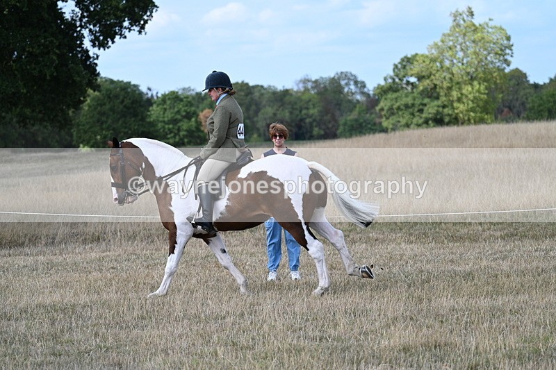 WJ7_6981 - Class 14 Ridden Coloured