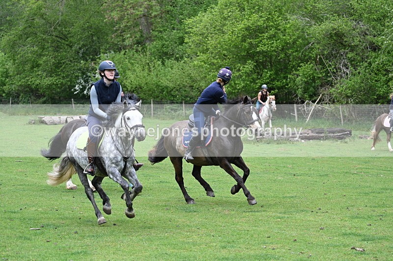 WJ7_2459 - B Camera