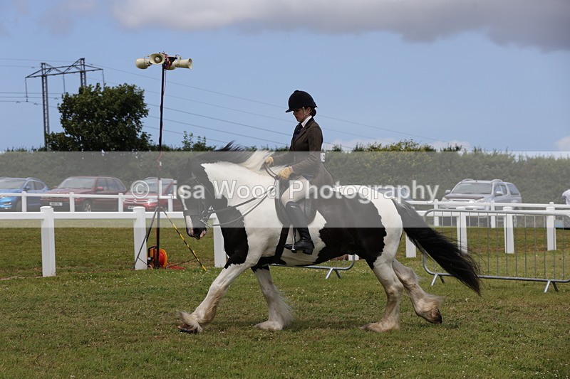 1X9A4413 - Class 34: Veteran Ridden