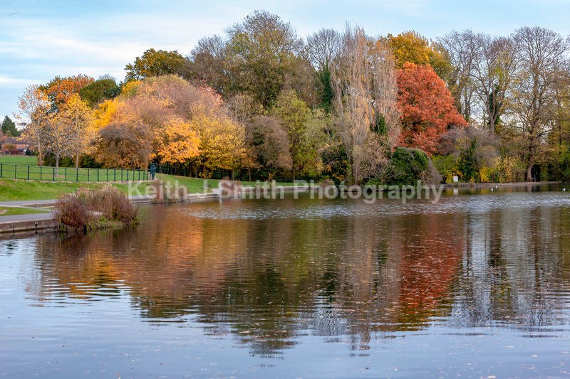 9SKJ0174 - Trees in Abington Park