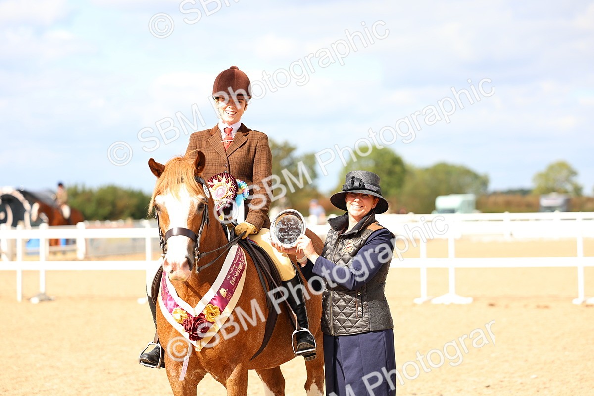 SBM_15860 - Class 314 - Family Horse - Pony
