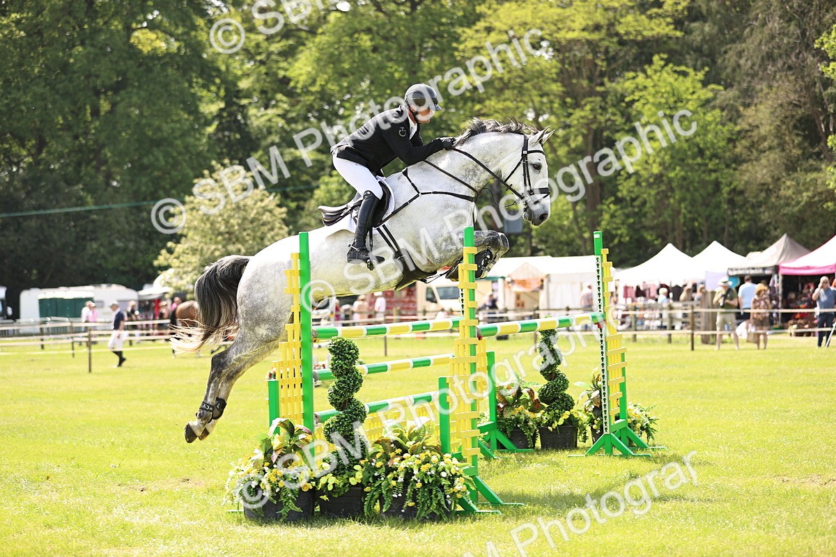 SBM_03275 - Class 201 - British Horse Feedds Speedi Beet HOYS Grade C