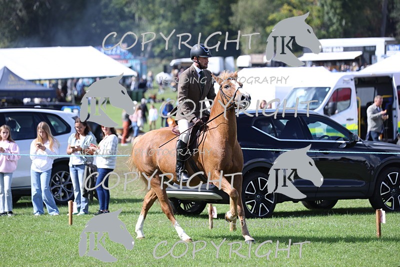 APP_3525 - Class 12 M&M ridden