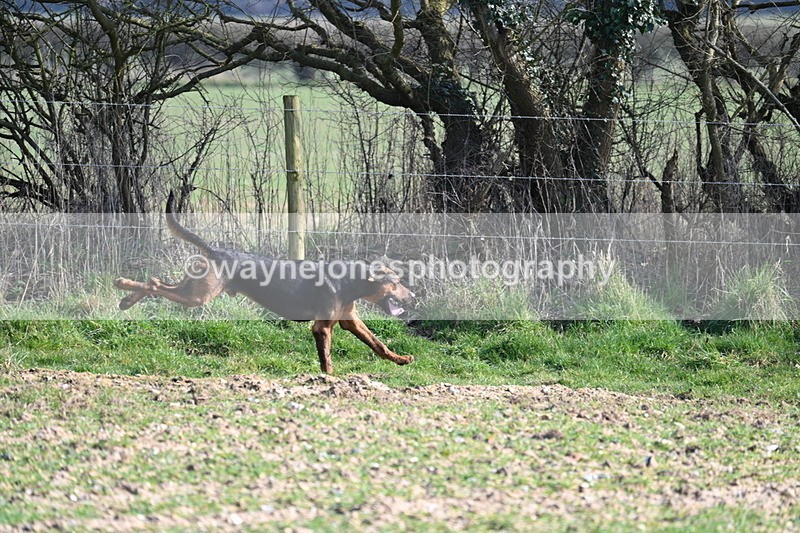 WJ7_5692 - Camera A