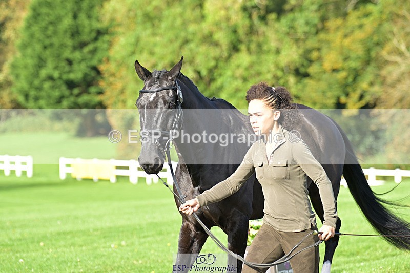 241023-130533-00065 - 052-Lydia.Heywood-JUST.THE.BISCUIT