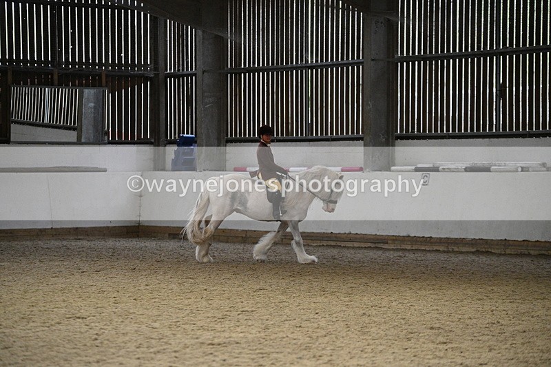 WJ7_3746 - Class 16 Ridden Coloured/ Odd Coloured