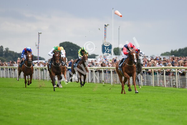 yr04092022r5-35 - Race 5 4.05pm Little Green Rascals Children's Nurseries Stakes