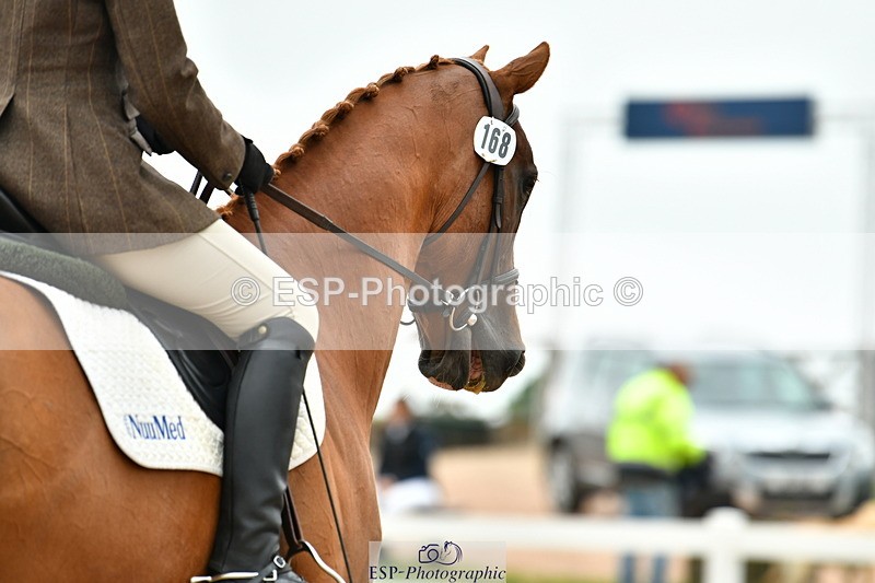 230630A-115050-01454 - Cls 5 Novice 37A