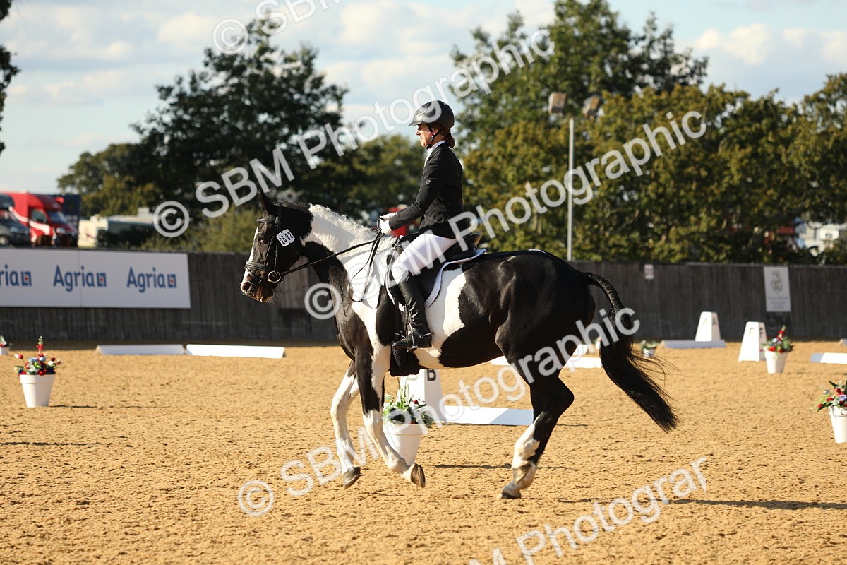 SBM_28537 - D20 - Grand Tour Championship - Elementary 44