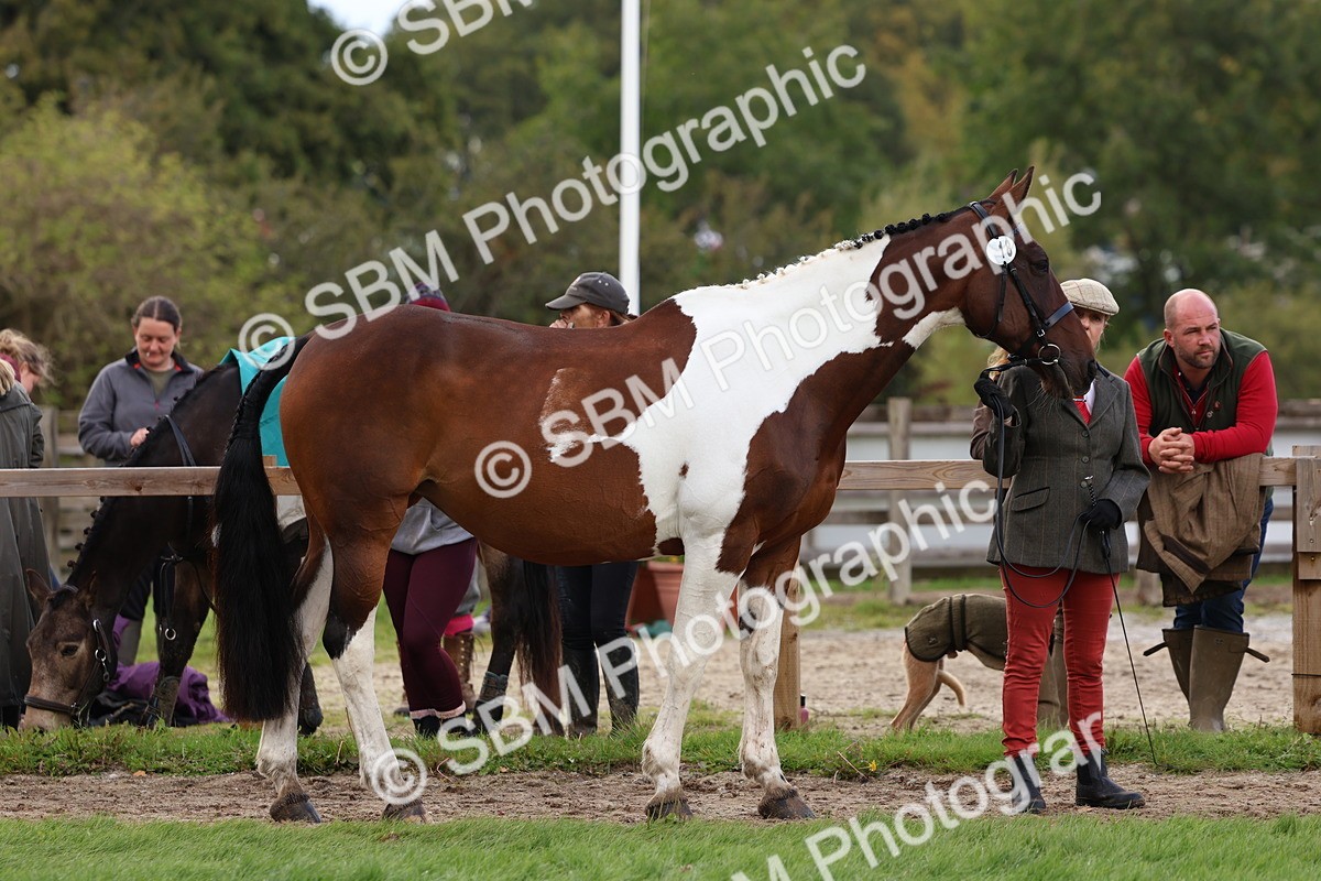 SBM_39448 - S24 - Young Veteran In Hand