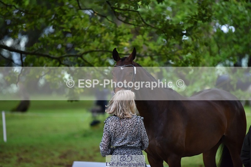 240522-165344-01234 - 227-FIREBALL_III-Oda_Christine_Lippestad