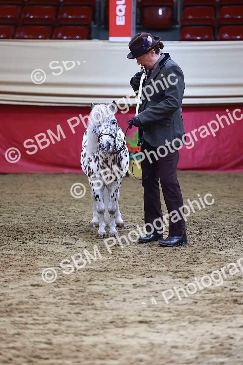 SBM_22393 - Class 902 - Supreme Final - IH Diamond