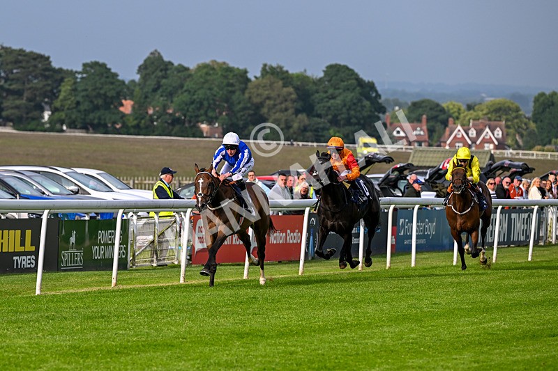 160626-Race 1-Waasil-3152 - Race 1 18.30pm Napoleons Casino Hull Dine In Style From £35 EBF Novice Stakes