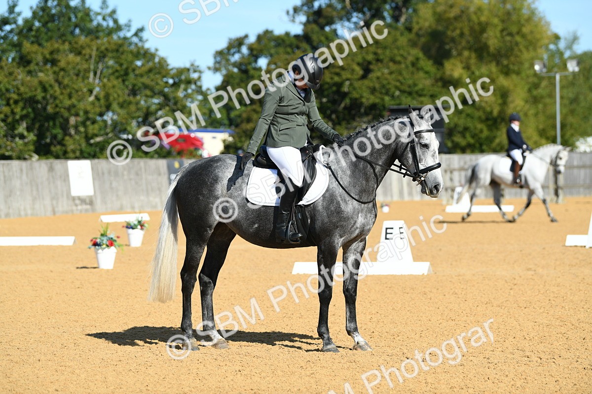 SBM_17968 - D4 - Small Tour Championship - Intro B