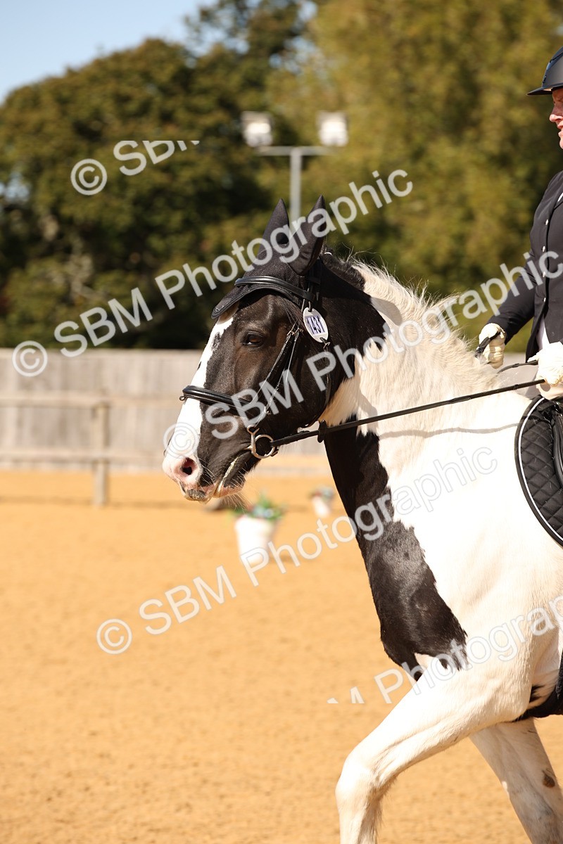 SBM_24124 - D5 - Small Tour Championship - Intro C