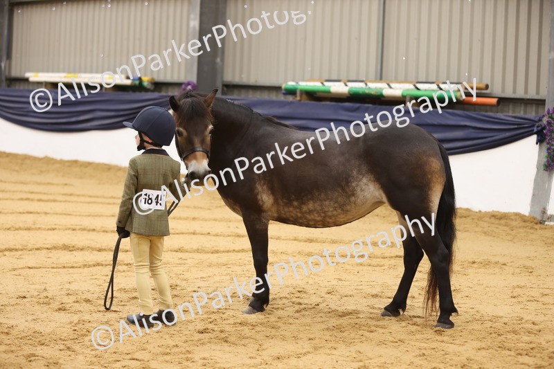 20260913-0113 - Class 121 - Young Handler 5-16