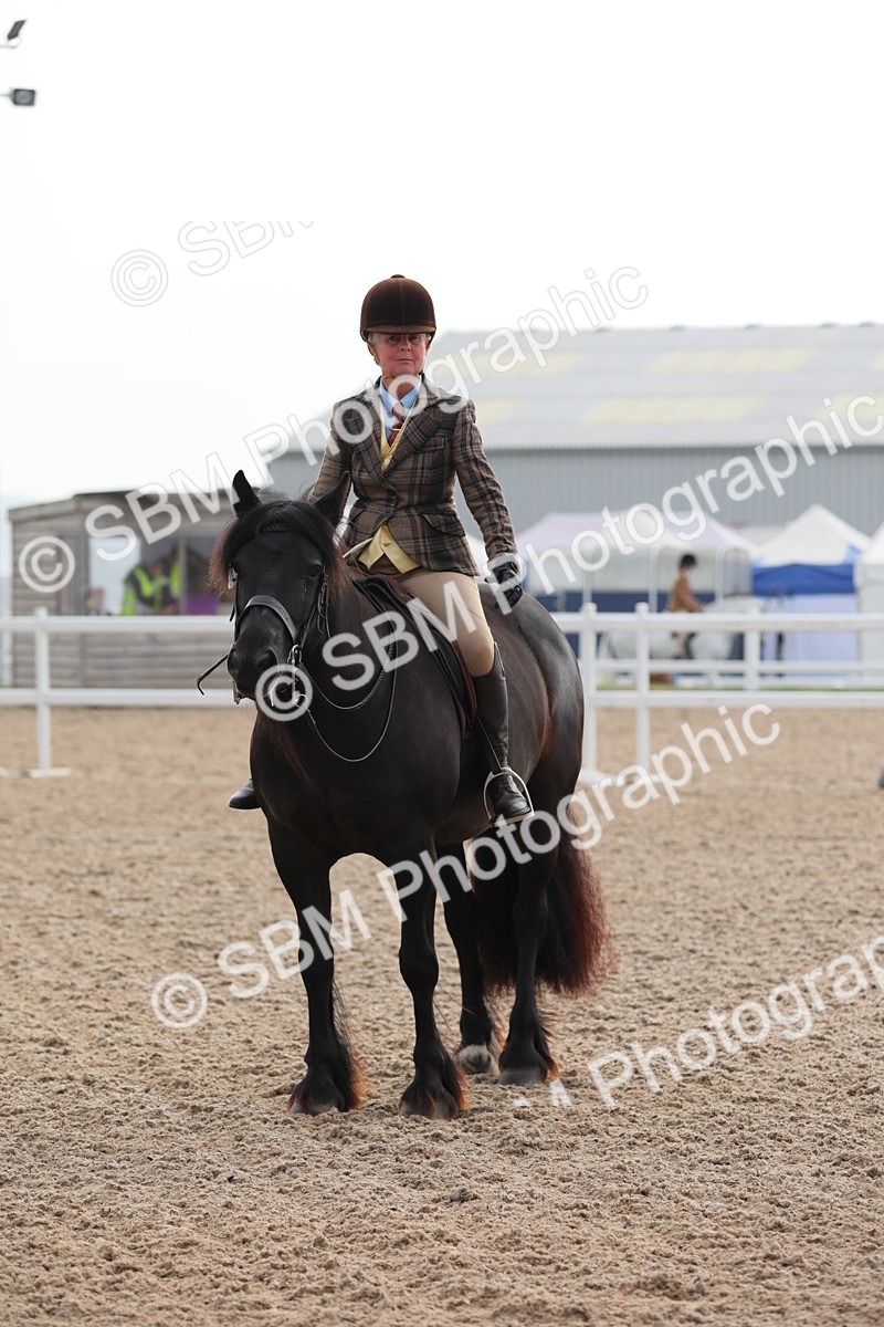 SBM_10059 - Class 302 Ridden M&M -Large Breeds