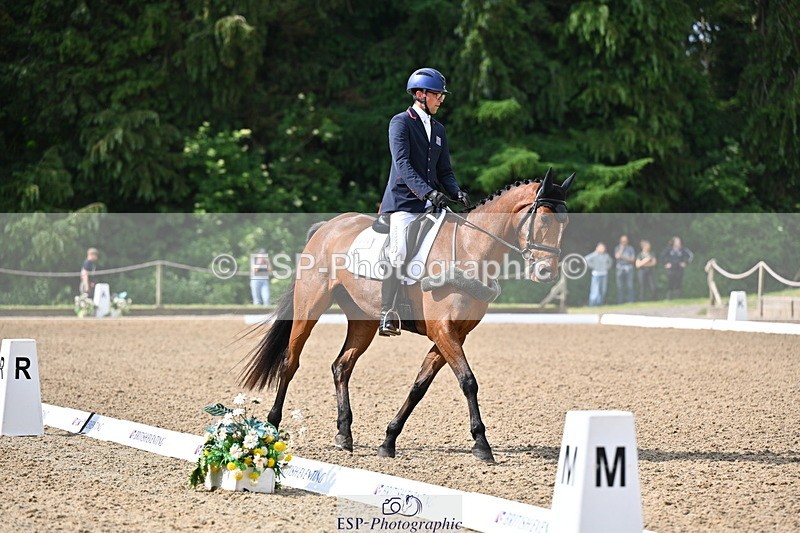 250523A-094124-05309 - C-258-Bill.Levett-ITALIAN.HARLEQUIN.NJ