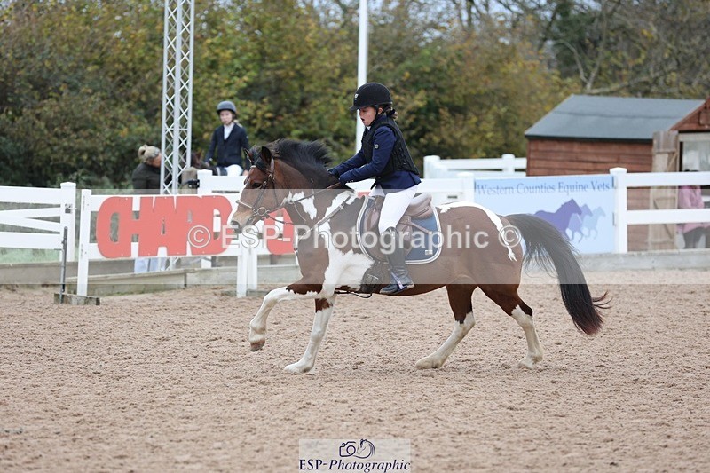 241116X-100802-00743 - Cls 08 Pony Winter Nov Champs